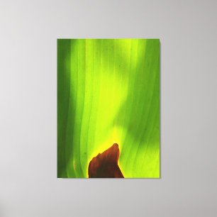 Impressão Em Tela Borda Ardente da Vida Folha Verde Abstrata da Natu