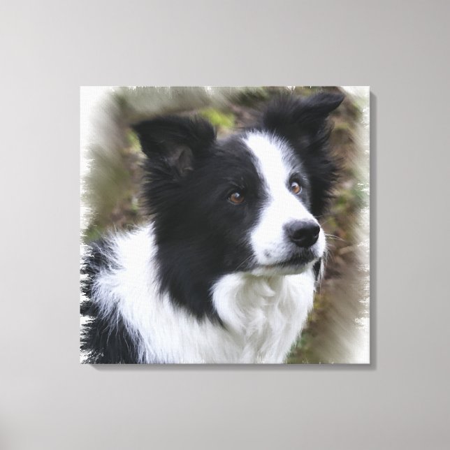 Impressão Em Tela Border Collie Art (Frente)