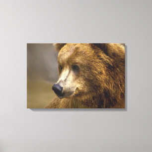 Impressão Em Tela Borras Castanhas