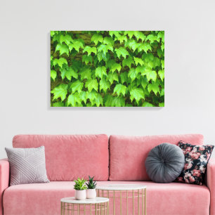 Impressão Em Tela Boston Ivy