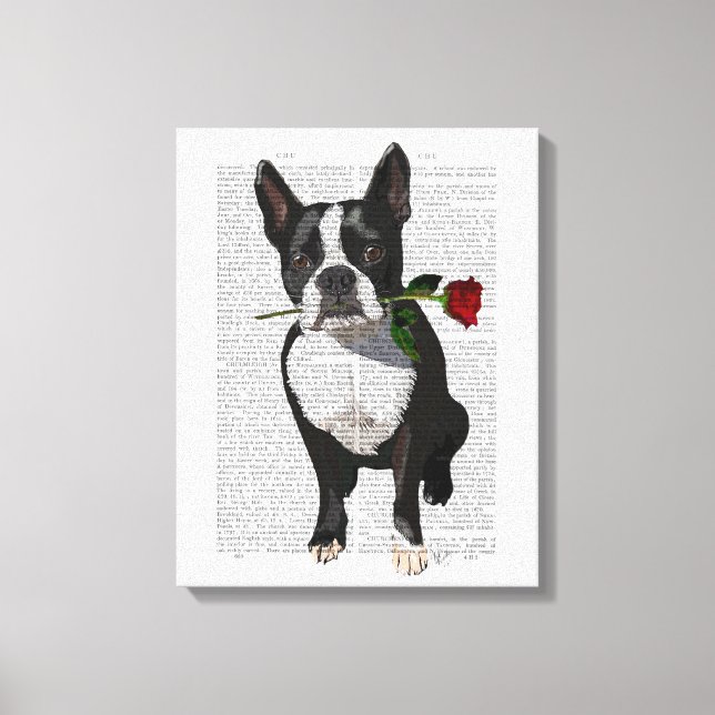 Impressão Em Tela Boston Terrier com Rosa em Boca (Frente)