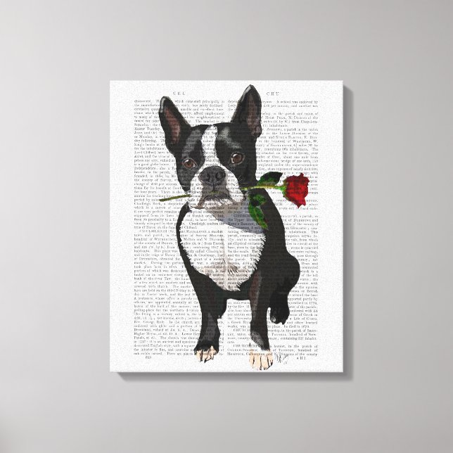 Impressão Em Tela Boston Terrier com Rosa em Boca (Frente)