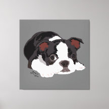 Boston Terrier Cuja Boca Estética De Arte Bela