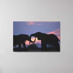 Impressão Em Tela Botswana, Parque Nacional Chobe, Elefantes
