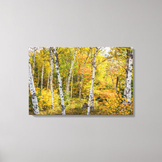 Impressão Em Tela Brancos no outono