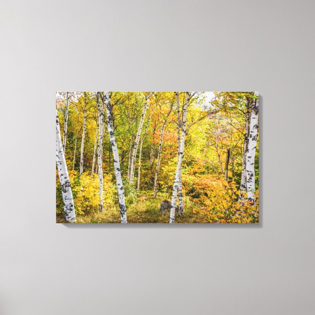 Impressão Em Tela Brancos no outono (Frente)