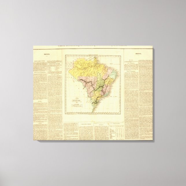 Impressão Em Tela Brasil 7 (Frente)