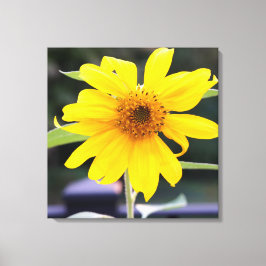 Impressão Em Tela Brilhante Amarelo sunny Fechar 24" x 24"