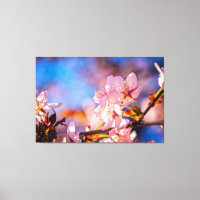 Brilliant Sakura Blossoms
