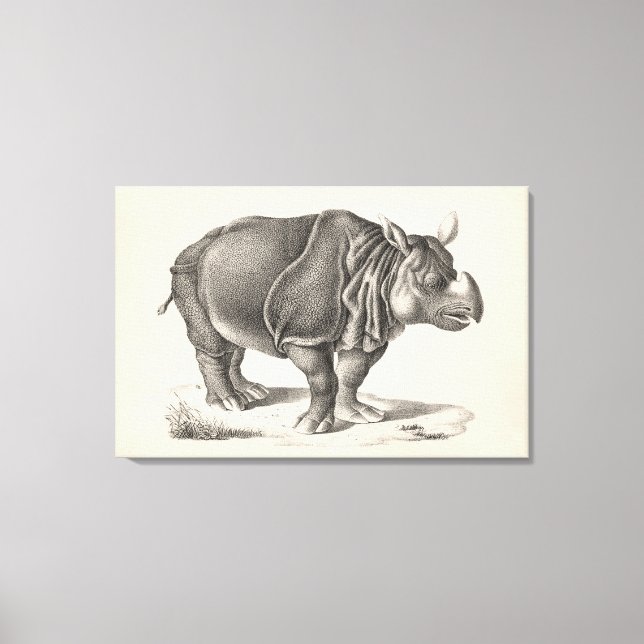 Impressão Em Tela Brodtmann Rhinoceros Sketch (Frente)
