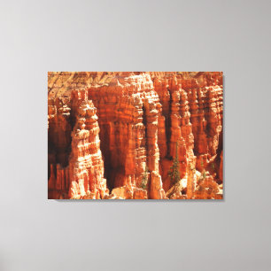 Impressão Em Tela Bryce Canyon