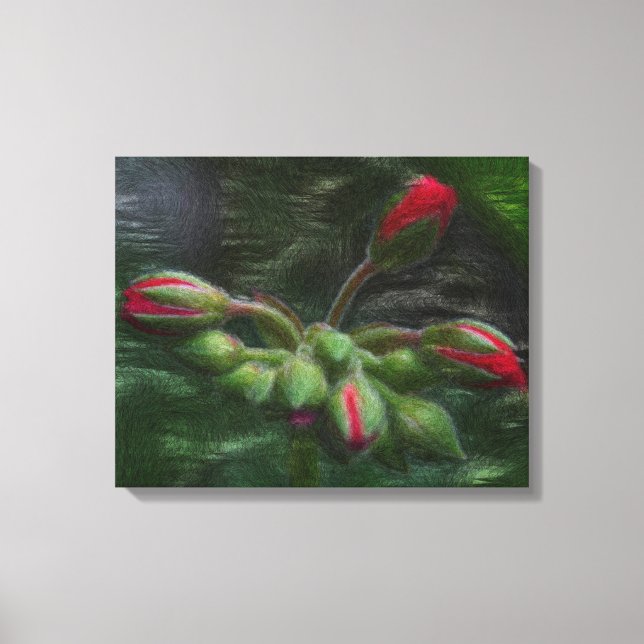 Impressão Em Tela Buchas de Gerânio Flor (Frente)