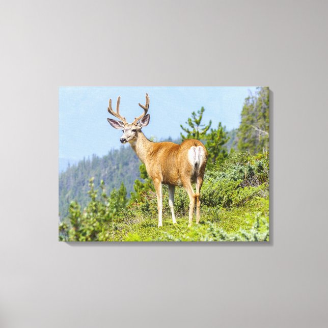 Impressão Em Tela Buck (Frente)