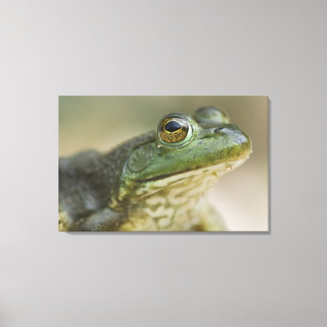 Impressão Em Tela Bufallo National River, Northwest Arkansas (Frente)