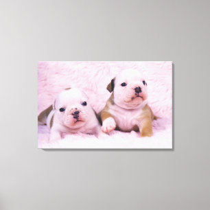 Impressão Em Tela Buldogue; chamou frequentemente o buldogue inglês