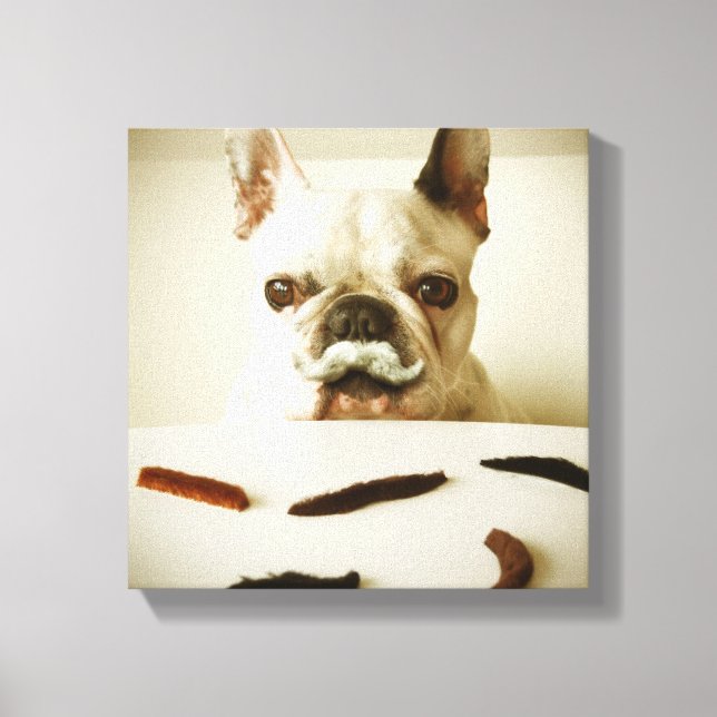 Impressão Em Tela Buldogue Francês Com bigode (Frente)