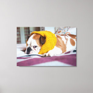 Impressão Em Tela Buldogue inglês das imagens   de Getty