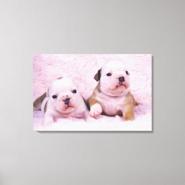 Impressão Em Tela Bulldog; frequentemente chamado de Bulldog Inglês. (Frente)