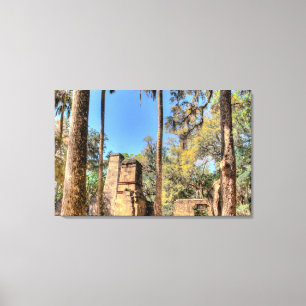 Impressão Em Tela Bulow Plantation Ruins, Florida