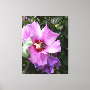 Impressão Em Tela Bumblebee na Flor de Hibiscus