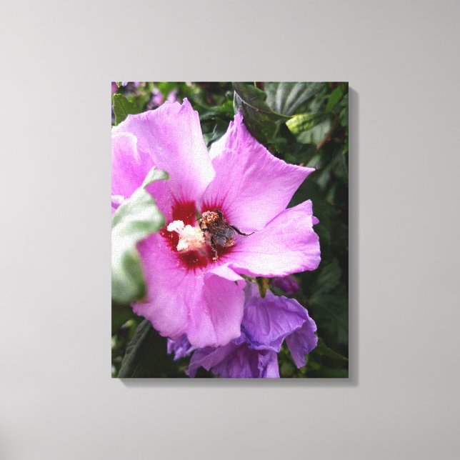 Impressão Em Tela Bumblebee na Flor de Hibiscus (Frente)