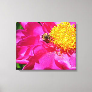 Impressão Em Tela Bumblebee Peony