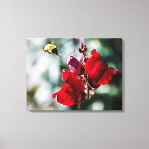 Impressão Em Tela Buscando Néctar Doce