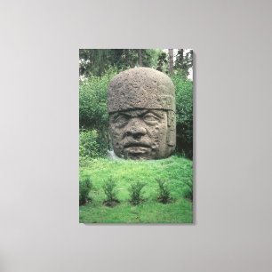 Impressão Em Tela Cabeça colossal