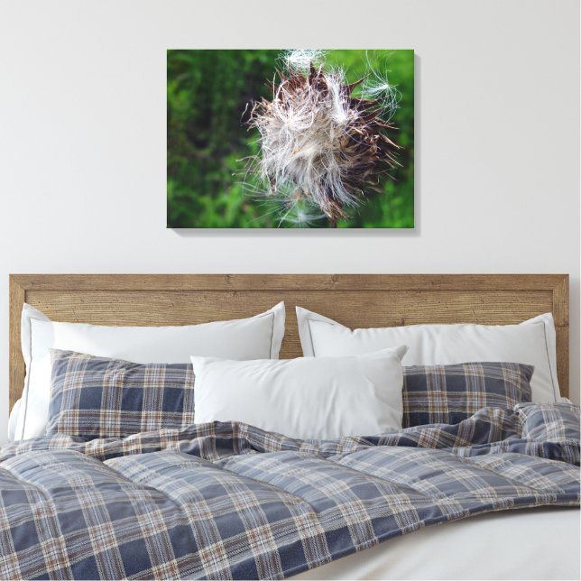 Impressão Em Tela Cabeça de Cardo de Touro (Insitu(Quarto))