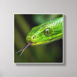 Impressão Em Tela Cabeça de Cobra Verde