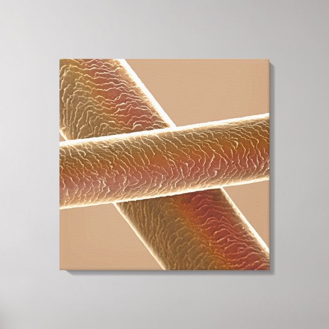 Impressão Em Tela Cabelo (Frente)