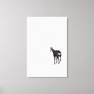 Impressão Em Tela Cabra de montanha de Chamois alpina minimalista na