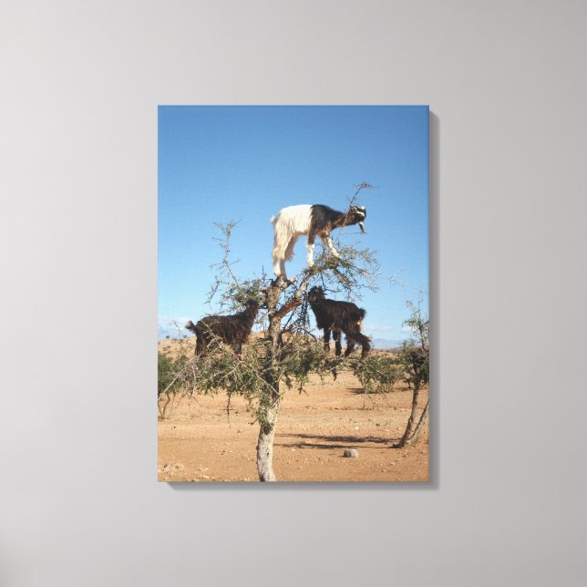 Impressão Em Tela Cabras engraçadas numa árvore (Frente)