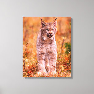 Impressão Em Tela Caça do Lince Floresta de Outono