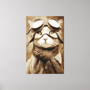 Impressão Em Tela Cachecol de Gato com Óculos Vintage Estampa Retro