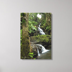 IMPRESSÃO EM TELA "CACHOEIRA EM JARDIM TROPICAL HAVAIANO"