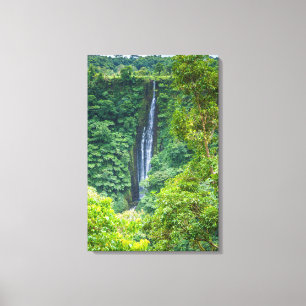Impressão Em Tela Cachoeira Papapapaitai na Selva