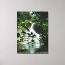 Cachoeira Tranquila Verdejante Paisagem Indonésia