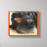 Cachorro BLack com borboleta