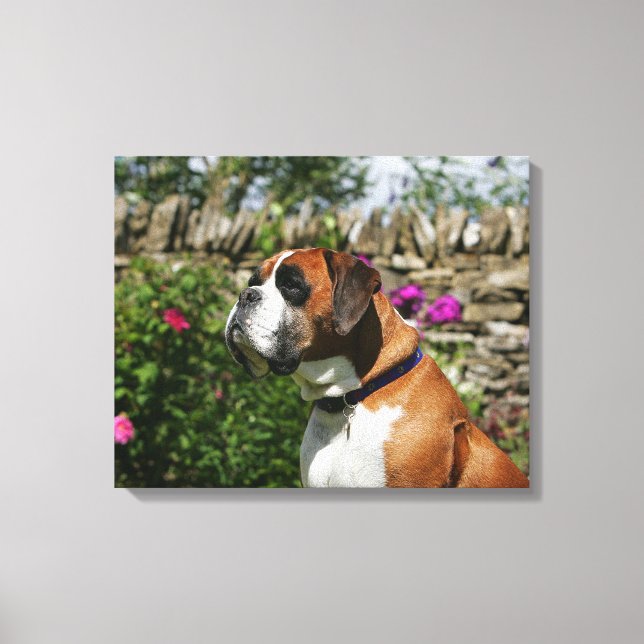 Impressão Em Tela Cachorro-Boxer nas Flores (Frente)
