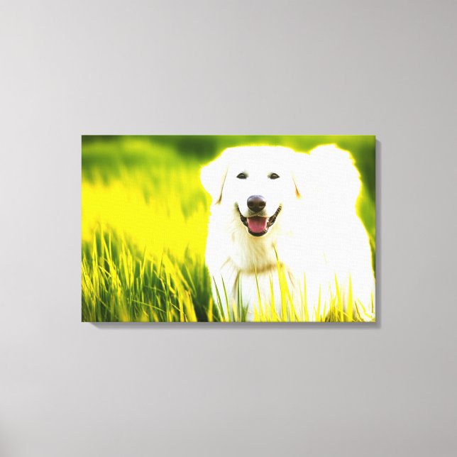 Impressão em Tela. Cachorro Branco alegre em F (Frente)