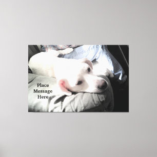Impressão Em Tela Cachorro Branco Fofo Sentado Com o Pai à Luz do So