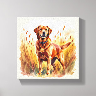 Impressão Em Tela Cachorro Labrador Retriever Fox Red