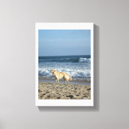Impressão Em Tela Cachorro Na Praia