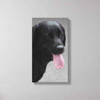 Impressão Em Tela Cachorro negro