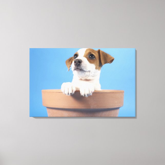 Impressão Em Tela Cachorro no vaso (Frente)