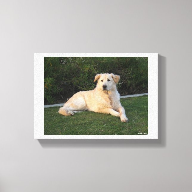Impressão Em Tela Cachorro Relaxando (Frente)