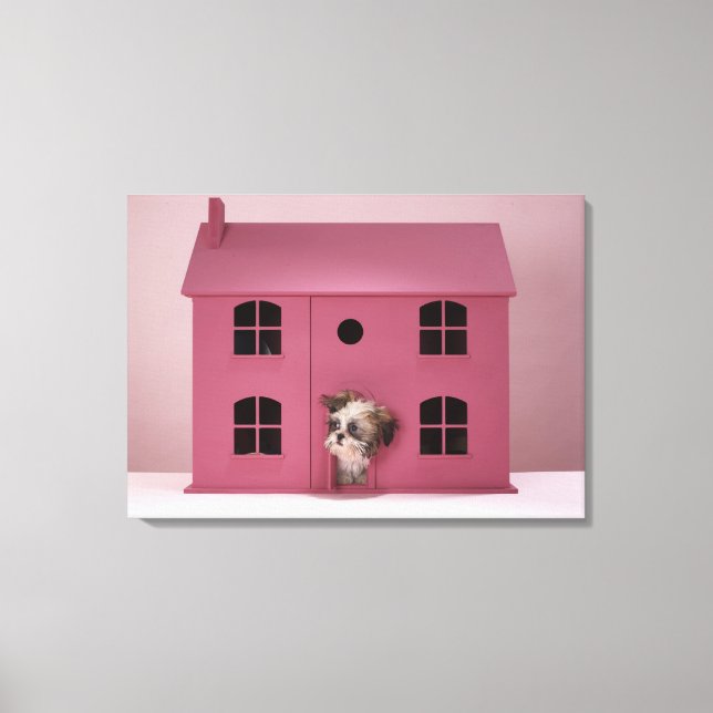 Impressão Em Tela Cachorro saindo da casa da boneca (Frente)