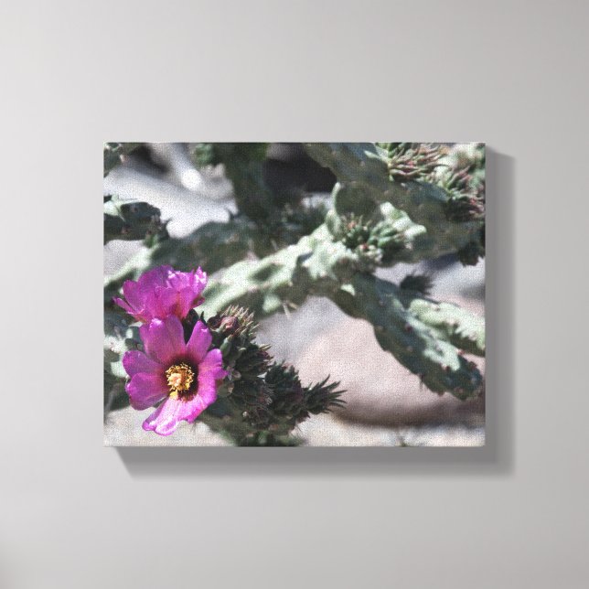 Impressão Em Tela Cacto Challa em flor (Frente)