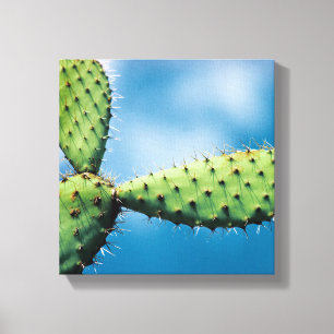 Impressão Em Tela Cacto de Prickley